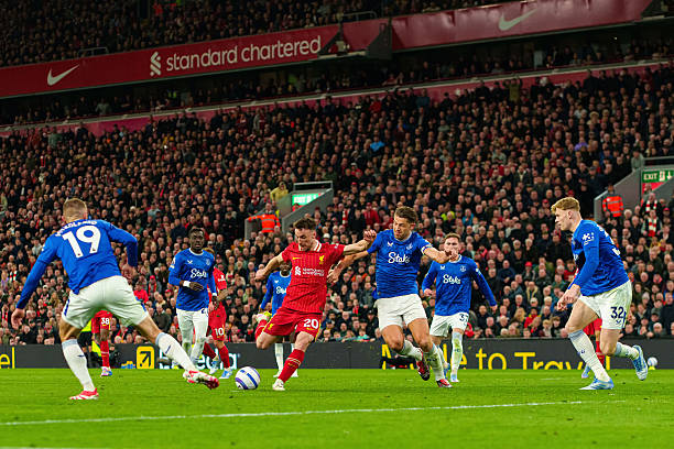 系的本质 系的本质