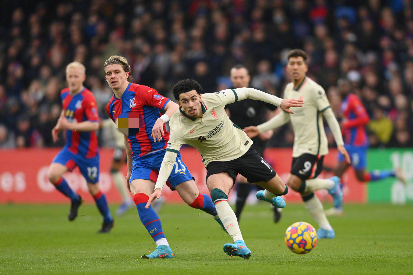 亚马尔已经 亚马尔已经